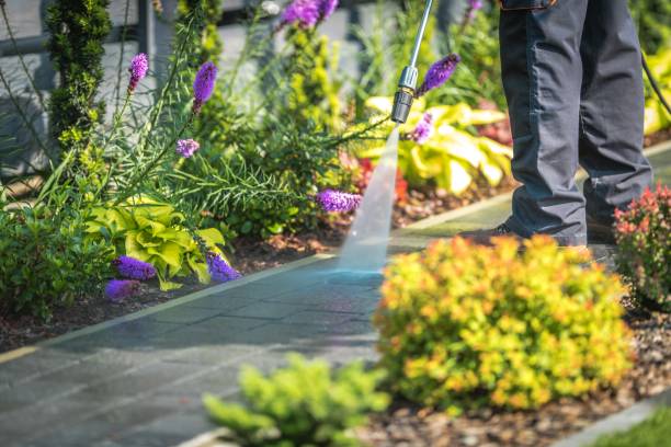 Best Restaurant Pressure Washing  in Binghamton, NY