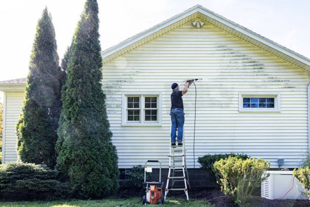 Professional Pressure Washing Services in Binghamton, NY